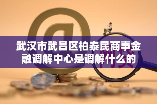 武汉市武昌区柏泰民商事金融调解中心是调解什么的