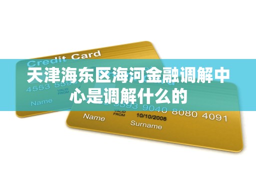 天津海东区海河金融调解中心是调解什么的