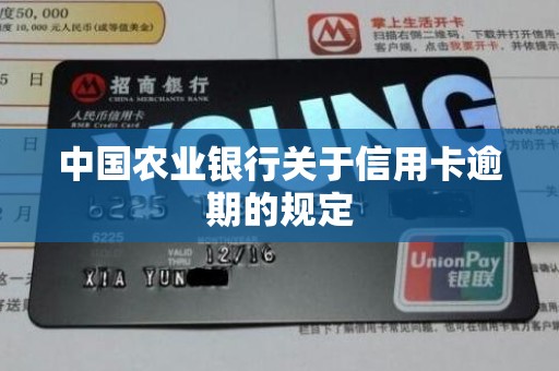 中国农业银行关于信用卡逾期的规定