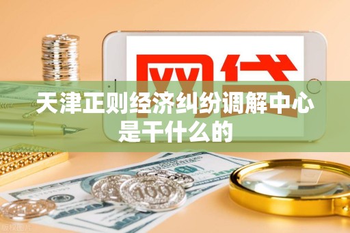 天津正则经济纠纷调解中心是干什么的