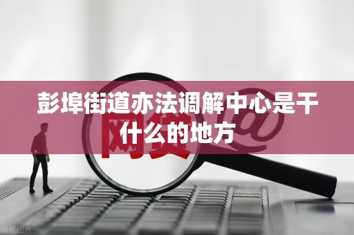 彭埠街道亦法调解中心是干什么的地方
