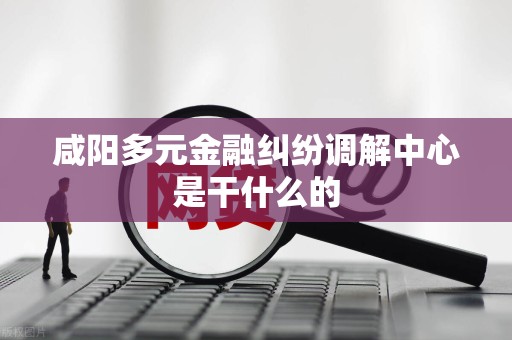 咸阳多元金融纠纷调解中心是干什么的