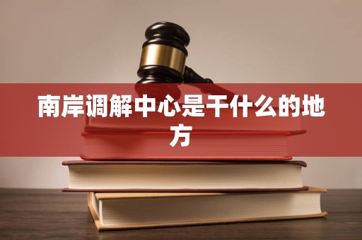 南岸调解中心是干什么的地方