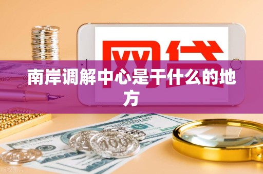 南岸调解中心是干什么的地方