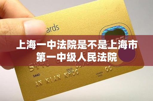 上海一中法院是不是上海市第一中级人民法院