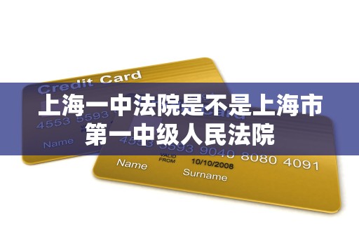 上海一中法院是不是上海市第一中级人民法院
