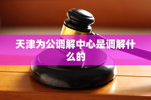 天津为公调解中心是调解什么的 天津为公调解中心是调解什么的