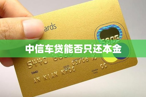 中信车贷能否只还本金