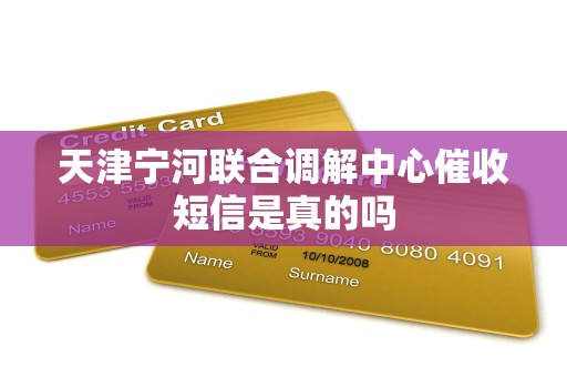 天津宁河联合调解中心催收短信是真的吗