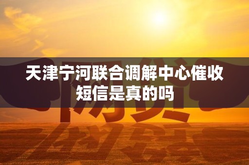 天津宁河联合调解中心催收短信是真的吗