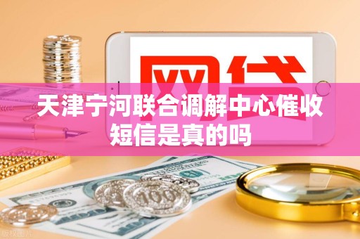 天津宁河联合调解中心催收短信是真的吗