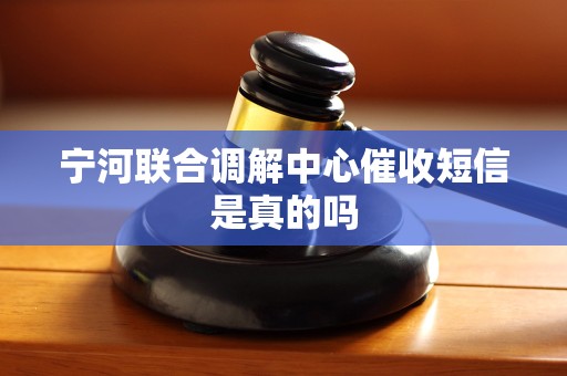 宁河联合调解中心催收短信是真的吗 宁河联合调解中心催收短信是真的吗