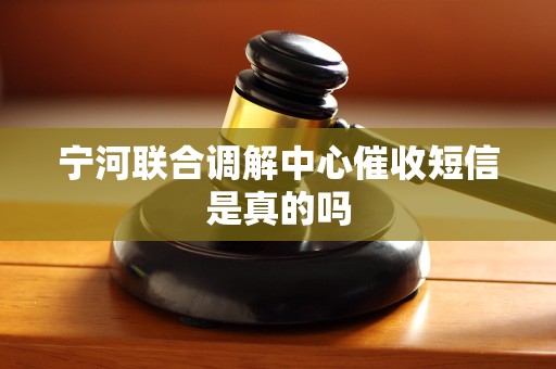 宁河联合调解中心催收短信是真的吗 宁河联合调解中心催收短信是真的吗