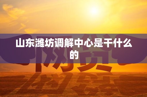 山东潍坊调解中心是干什么的