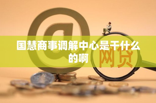 国慧商事调解中心是干什么的啊