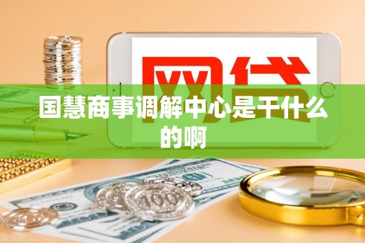 国慧商事调解中心是干什么的啊