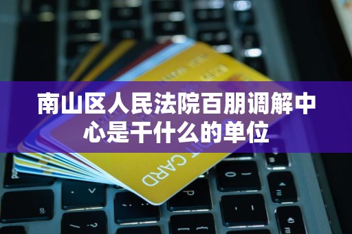 南山区人民法院百朋调解中心是干什么的单位