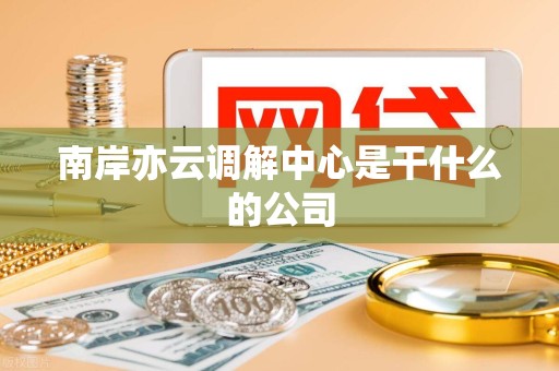 南岸亦云调解中心是干什么的公司