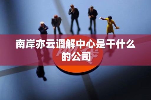 南岸亦云调解中心是干什么的公司