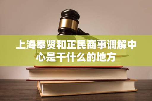 上海奉贤和正民商事调解中心是干什么的地方