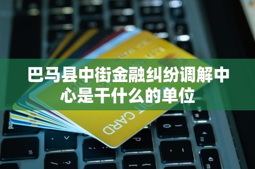 巴马县中街金融纠纷调解中心是干什么的单位
