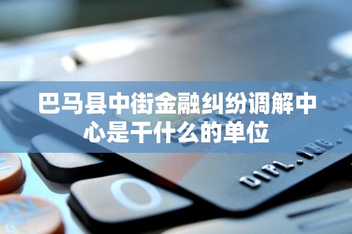 巴马县中街金融纠纷调解中心是干什么的单位