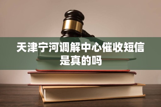 天津宁河调解中心催收短信是真的吗 天津宁河调解中心催收短信是真的吗
