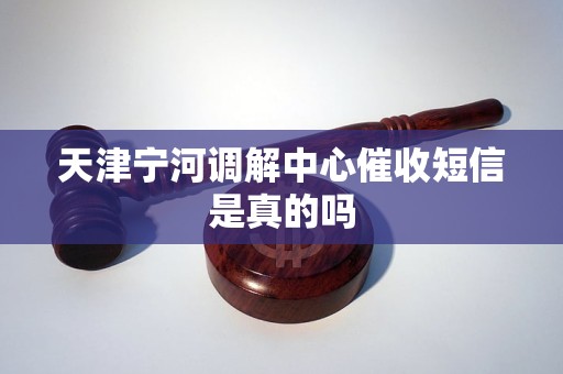 天津宁河调解中心催收短信是真的吗 天津宁河调解中心催收短信是真的吗