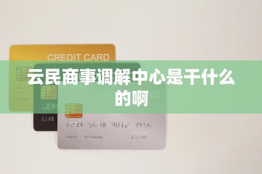 云民商事调解中心是干什么的啊
