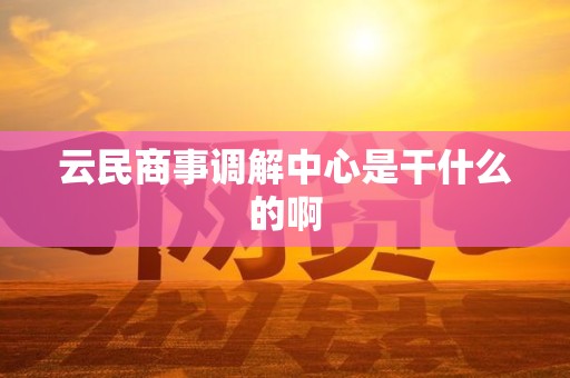 云民商事调解中心是干什么的啊