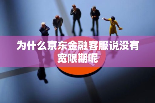 为什么京东金融客服说没有宽限期呢 为什么京东金融客服说没有宽限期呢