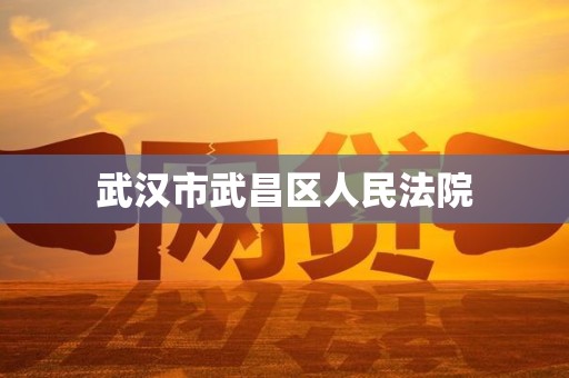 武汉市武昌区人民法院