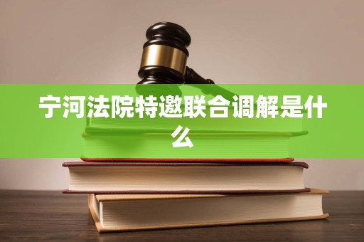 宁河法院特邀联合调解是什么 宁河法院特邀联合调解是什么