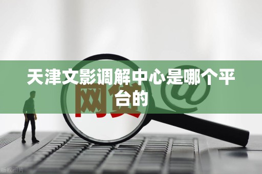 天津文影调解中心是哪个平台的