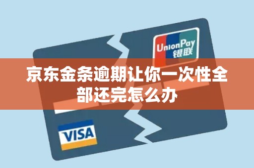 京东金条逾期让你一次性全部还完怎么办