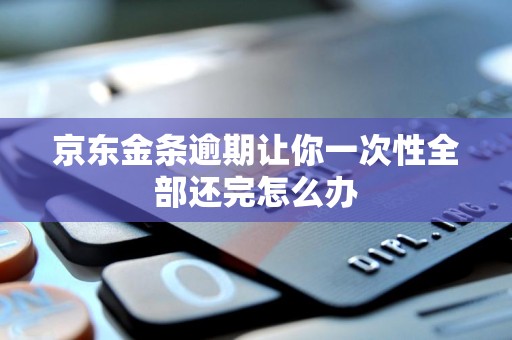 京东金条逾期让你一次性全部还完怎么办