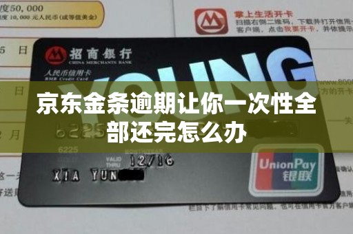 京东金条逾期让你一次性全部还完怎么办