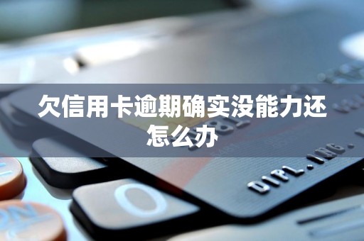 欠信用卡逾期确实没能力还怎么办