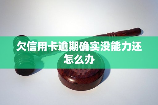欠信用卡逾期确实没能力还怎么办