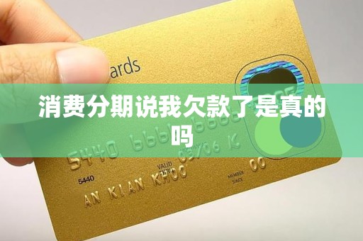 消费分期说我欠款了是真的吗