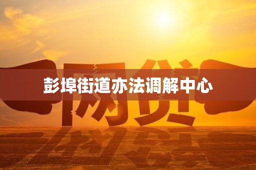 彭埠街道亦法调解中心