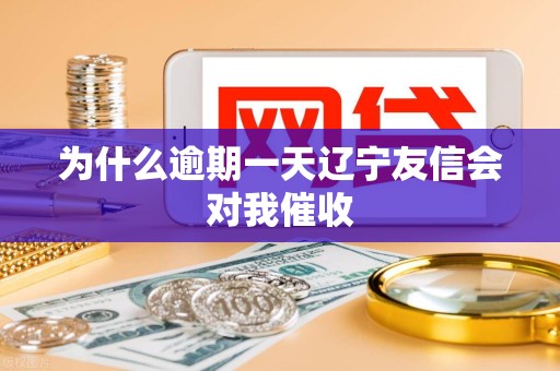 为什么逾期一天辽宁友信会对我催收