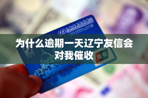 为什么逾期一天辽宁友信会对我催收