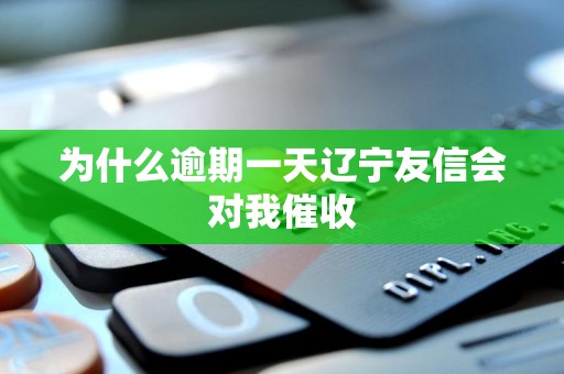 为什么逾期一天辽宁友信会对我催收