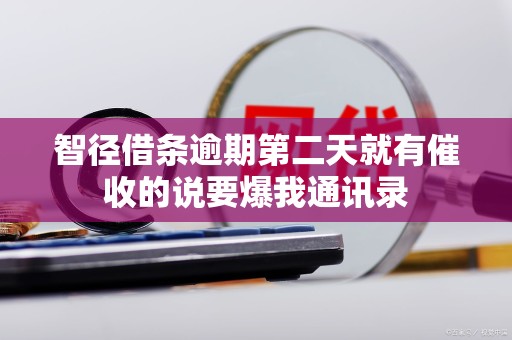 智径借条逾期第二天就有催收的说要爆我通讯录
