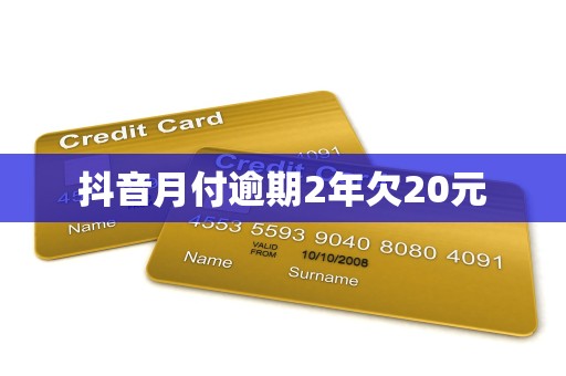 抖音月付逾期2年欠20元