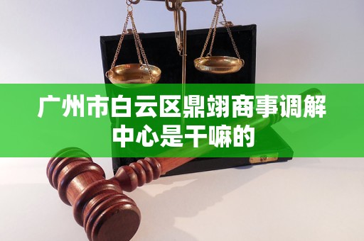 广州市白云区鼎翊商事调解中心是干嘛的 广州市白云区鼎翊商事调解中心是干嘛的