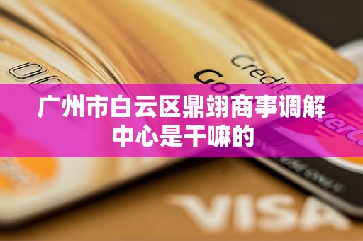 广州市白云区鼎翊商事调解中心是干嘛的 广州市白云区鼎翊商事调解中心是干嘛的