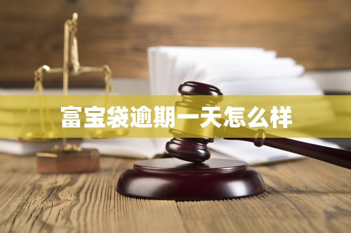 富宝袋逾期一天怎么样 富宝袋逾期一天怎么样