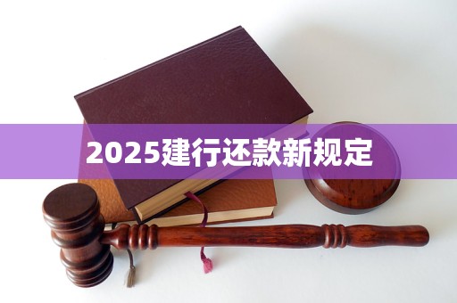 2025建行还款新规定